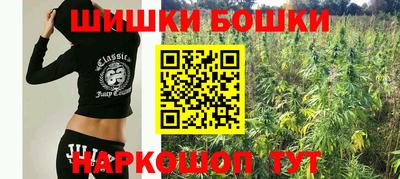 гашик Малгобек